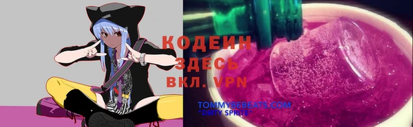 дживик Волоколамск