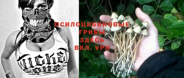 дживик Волоколамск