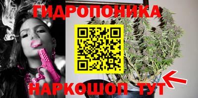 СК Балашиха