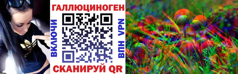 Псилоцибиновые грибы Cubensis Сорочинск