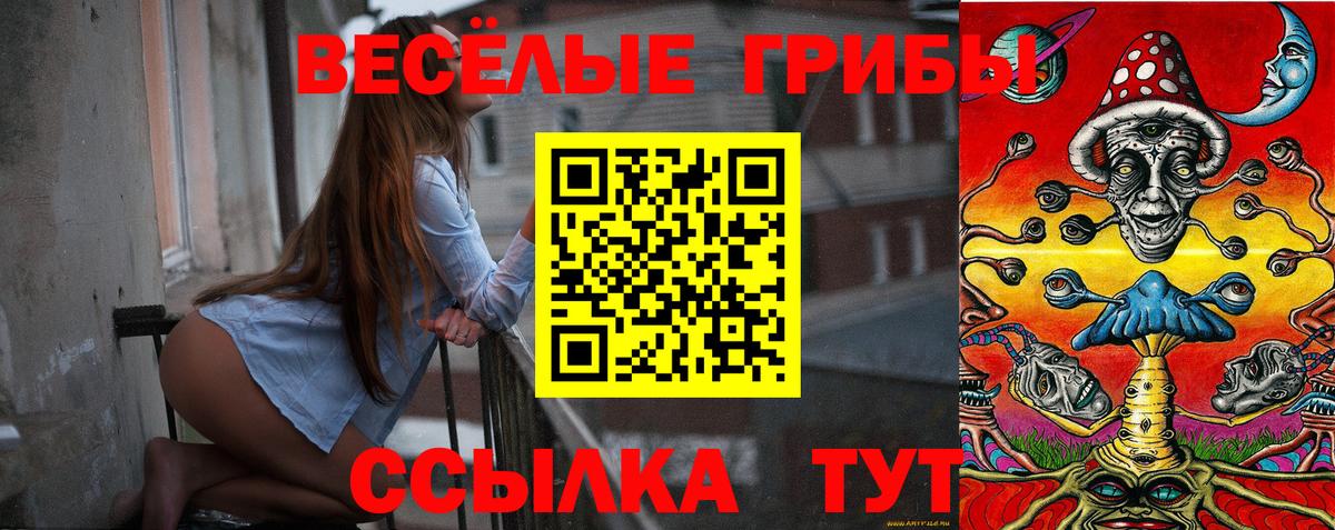 Псилоцибиновые грибы Psilocybine cubensis Сорочинск