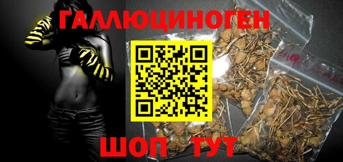 Галлюциногенные грибы Magic Shrooms  Вход с VPN  Сорочинск  Галлюциногенные грибы GOLDEN TEACHER 