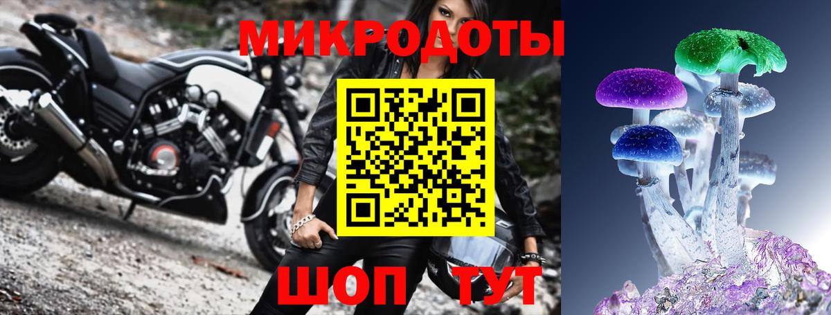 Галлюциногенные грибы Psilocybe  Сорочинск 