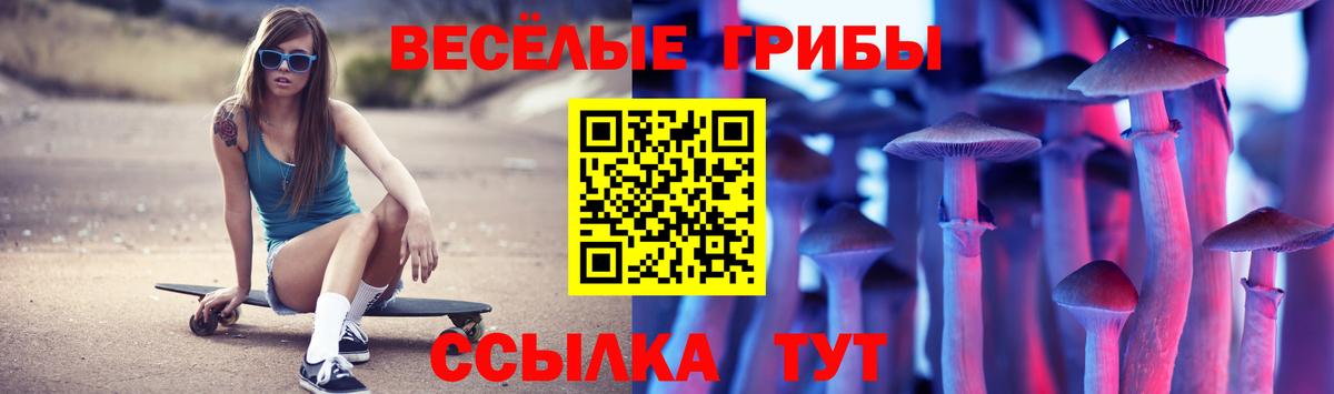 Псилоцибиновые грибы прущие грибы Сорочинск