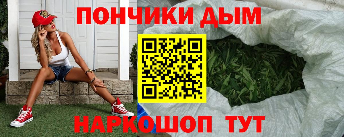 Марихуана планчик  Каннабис SATIVA & INDICA  Шишки марихуана семена  Марихуана гибрид  Сорочинск 